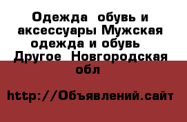 Одежда, обувь и аксессуары Мужская одежда и обувь - Другое. Новгородская обл.